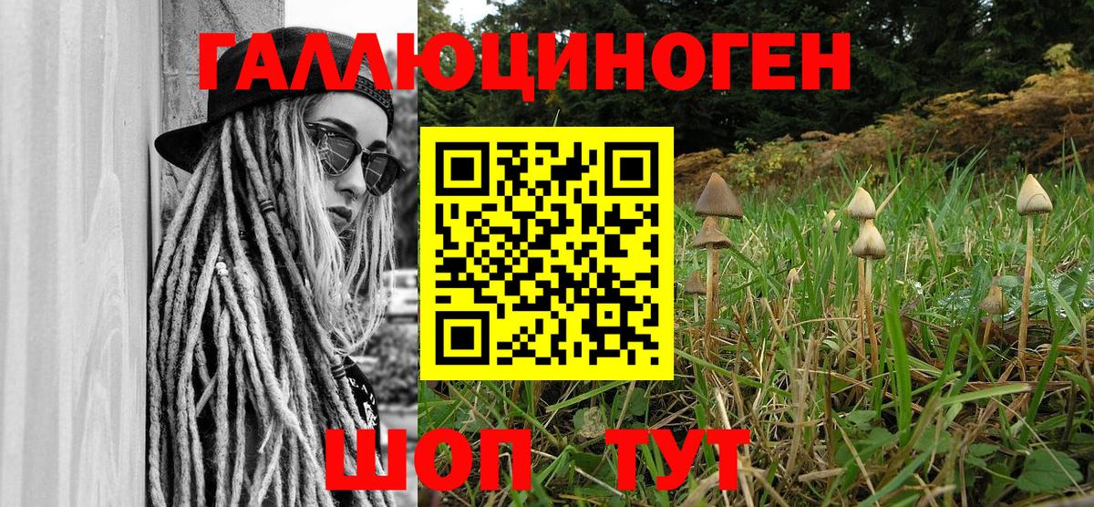 Псилоцибиновые грибы Psilocybe Касимов
