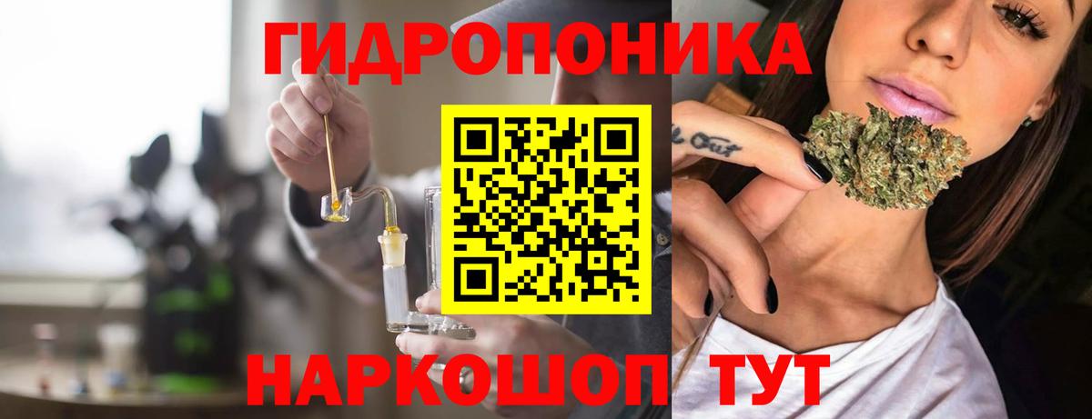 Канабис LSD WEED  Вход с VPN  МАРИХУАНА марихуана  МАРИХУАНА White Widow  МАРИХУАНА Ganja  Касимов 